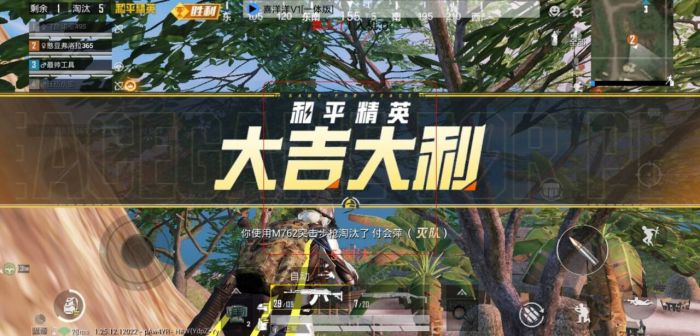 和平精英什么是好友辅助（和平精英为什么不能帮好友助力）